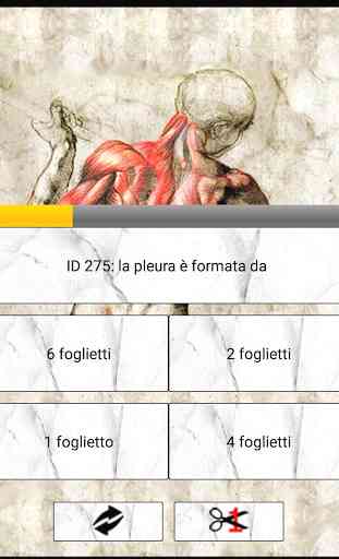 L'Anatomista il quiz Italiano di anatomia 3