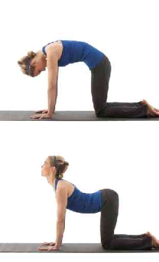 Low Back Pain Relief Esercizi 3