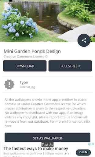 Mini Garden Ponds Design Ideas 3