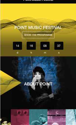 Point Music Festival 1