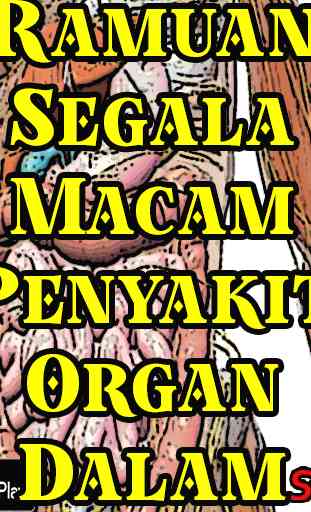 Ramuan Segala Macam Penyakit Organ Dalam 1
