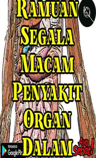 Ramuan Segala Macam Penyakit Organ Dalam 2
