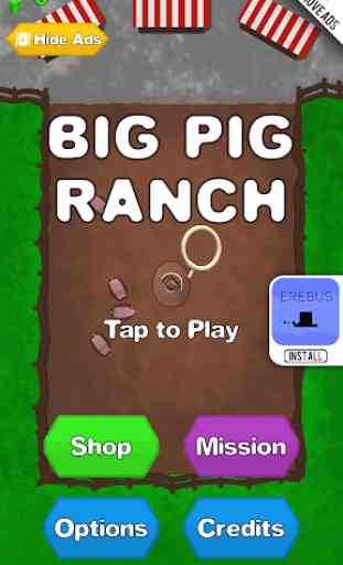 Big Pig Ranch 4
