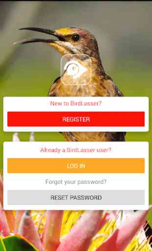 BirdLasser 1