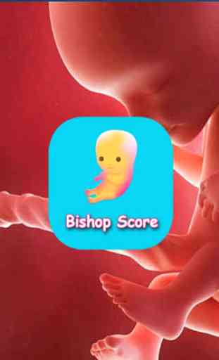 Bishop's Score Calculator 1