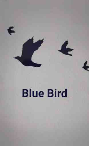 BLUE BIRD 1