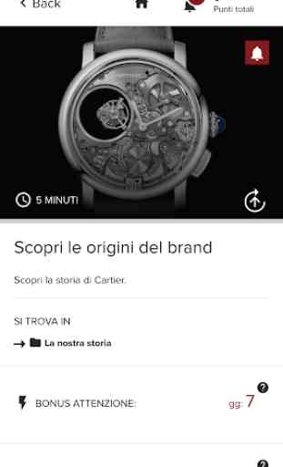Cartier Watch Specialist 2