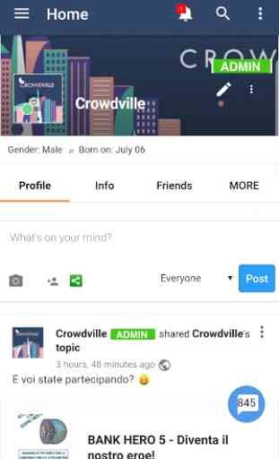 Crowdville 1