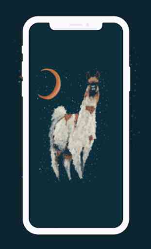 Cute Llama Wallpapers HD 2
