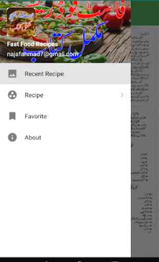 Fast Food Urdu Recipes/ Easy Fast Food Recipes 2