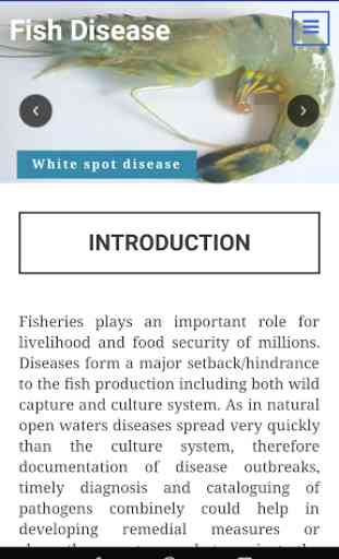 Fish Disease Advisory 1