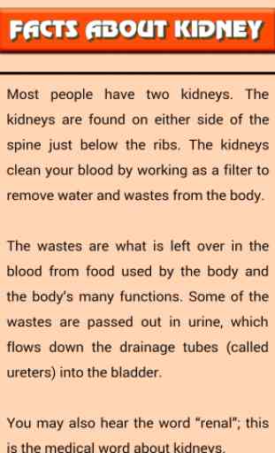 Kidney Health Guides 4