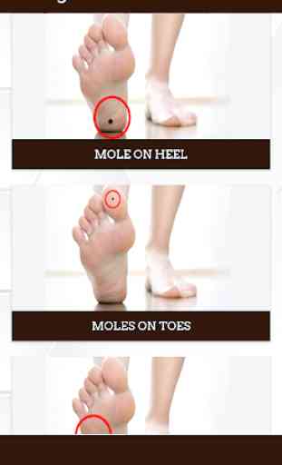 Meaning of Moles 2