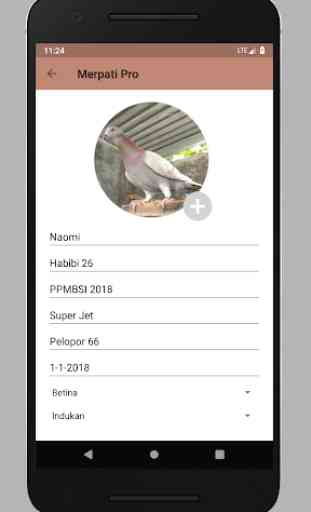 Merpati Pro - Aplikasi Wajib Penghobi Merpati 3