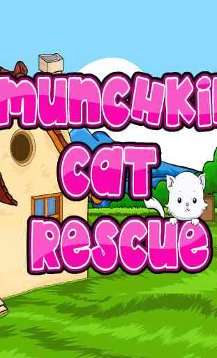 Munchkin Cat Rescue 1