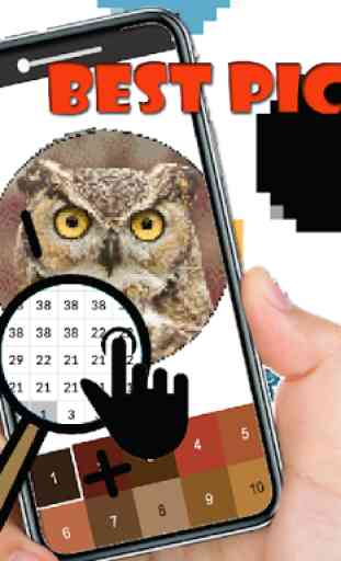 Owl Color By Number -Bird Animal Pixel Art 3