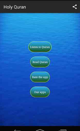 Saad Al Ghamidi Listen & Read Full Quran offline 1