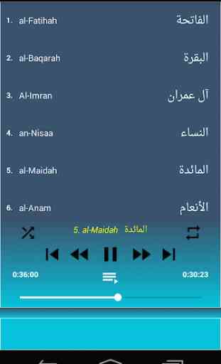 Saad Al Ghamidi Listen & Read Full Quran offline 2