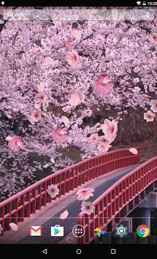 Sakura Live Wallpaper 2