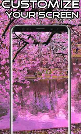 Sakura Wallpaper HD 4K 2