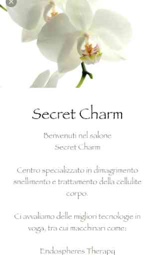Secret Charm 4