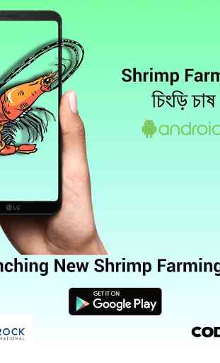 Shrimp Farming BD 1