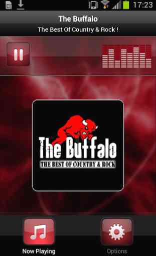 The Buffalo 1