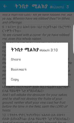 Amharic - English Bible 4