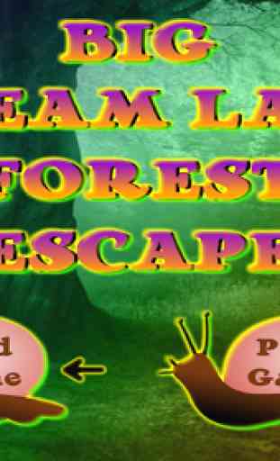 Big Dream Land Forest Escape 1
