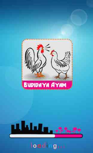 Bisnis Budidaya Ayam Sukses (Tekun) 2