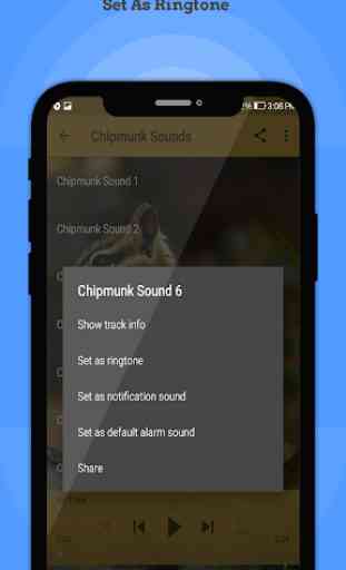 Chipmunk Sounds 3
