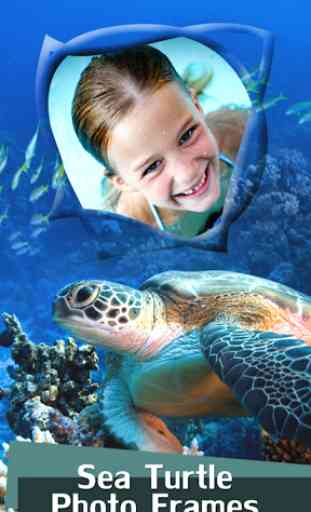 cornici tartaruga di mare 1