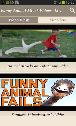 Funny Animal Attack Videos - Live Real Time Clips 2