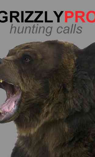 Grizzly Bear Hunting Calls 1