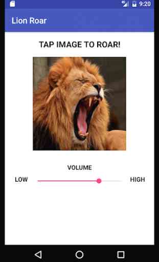 Lion Roar 1