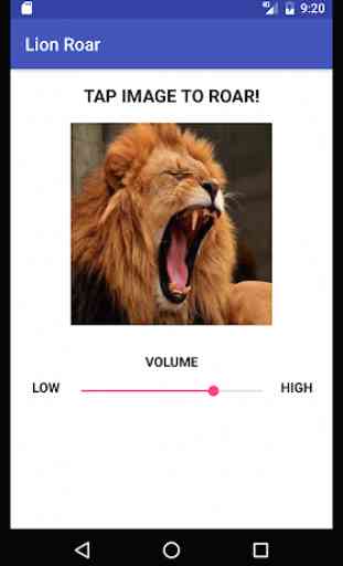 Lion Roar 3