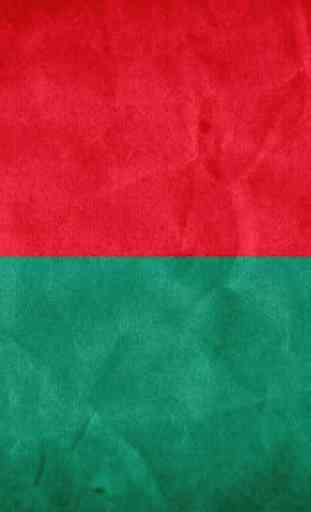 Madagascar Flag Wallpaper 4