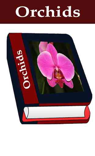 Orchidaceae 2