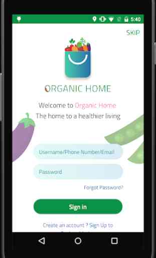 Organic Home 1