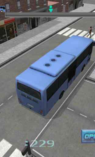 Passenger Autobus Autista 2015 2