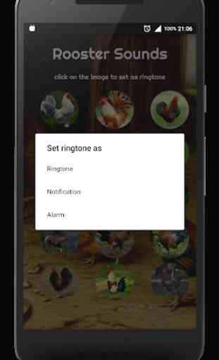 Rooster Alarm and Ringtone Sounds 2