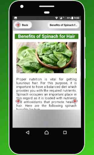 Spinach Benefits 2