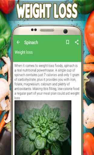 Spinach Benefits 3