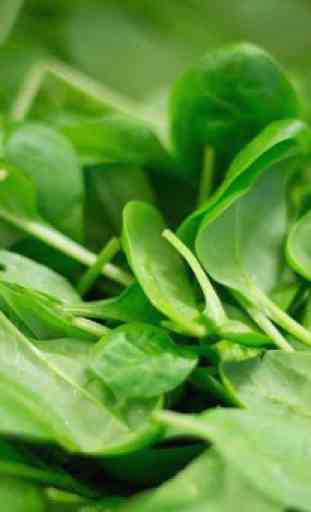 Spinach Benefits 4
