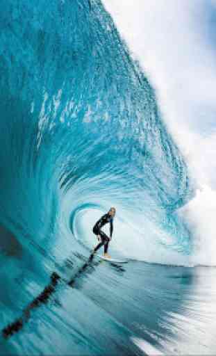 Surfing. Sport Wallpapers 2