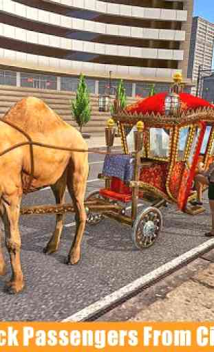 taxi dei cammelli: città e trasporto nel deserto 3