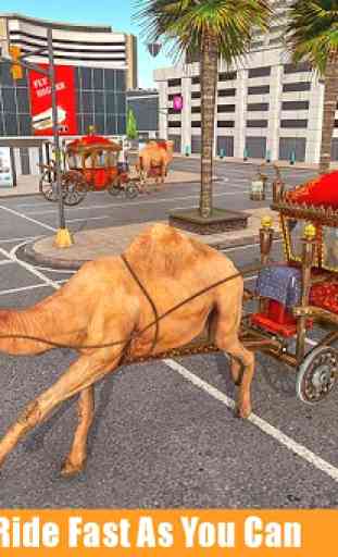 taxi dei cammelli: città e trasporto nel deserto 4