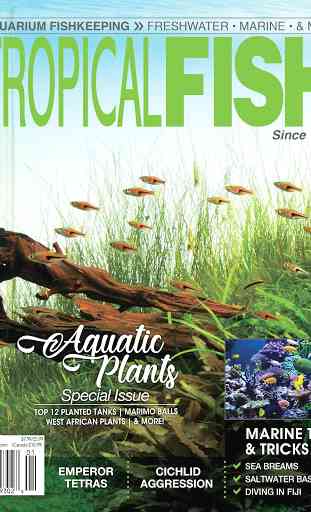 Tropical Fish Hobbyist Magazine 1