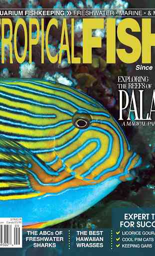 Tropical Fish Hobbyist Magazine 3