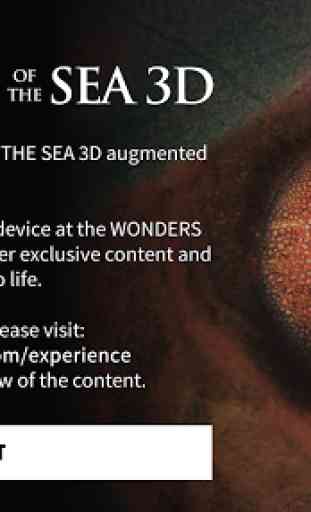Wonders Of The Sea 1